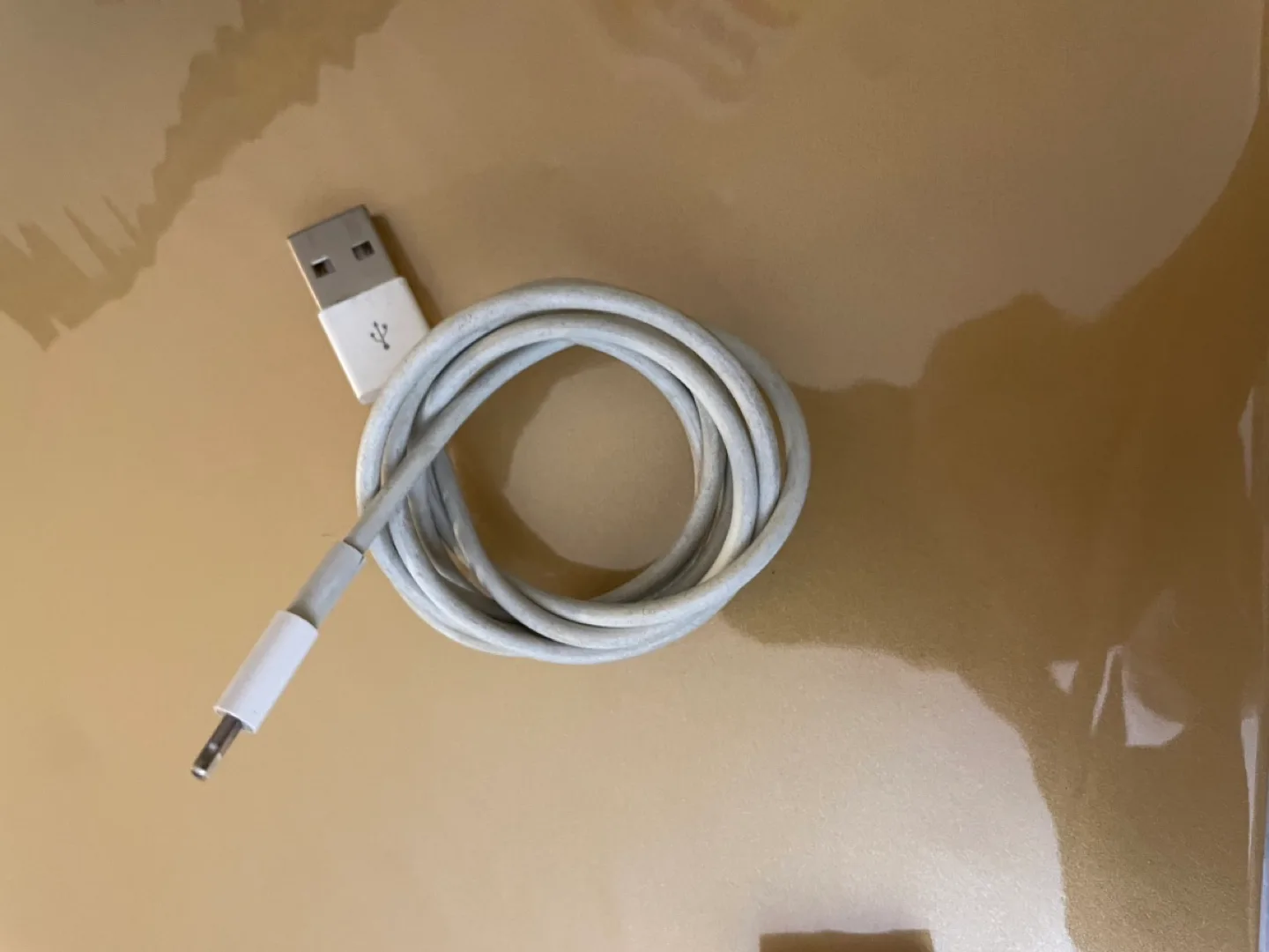 Apple Lightning toVGA Adapter + Charging Cable #free image indicator(2)