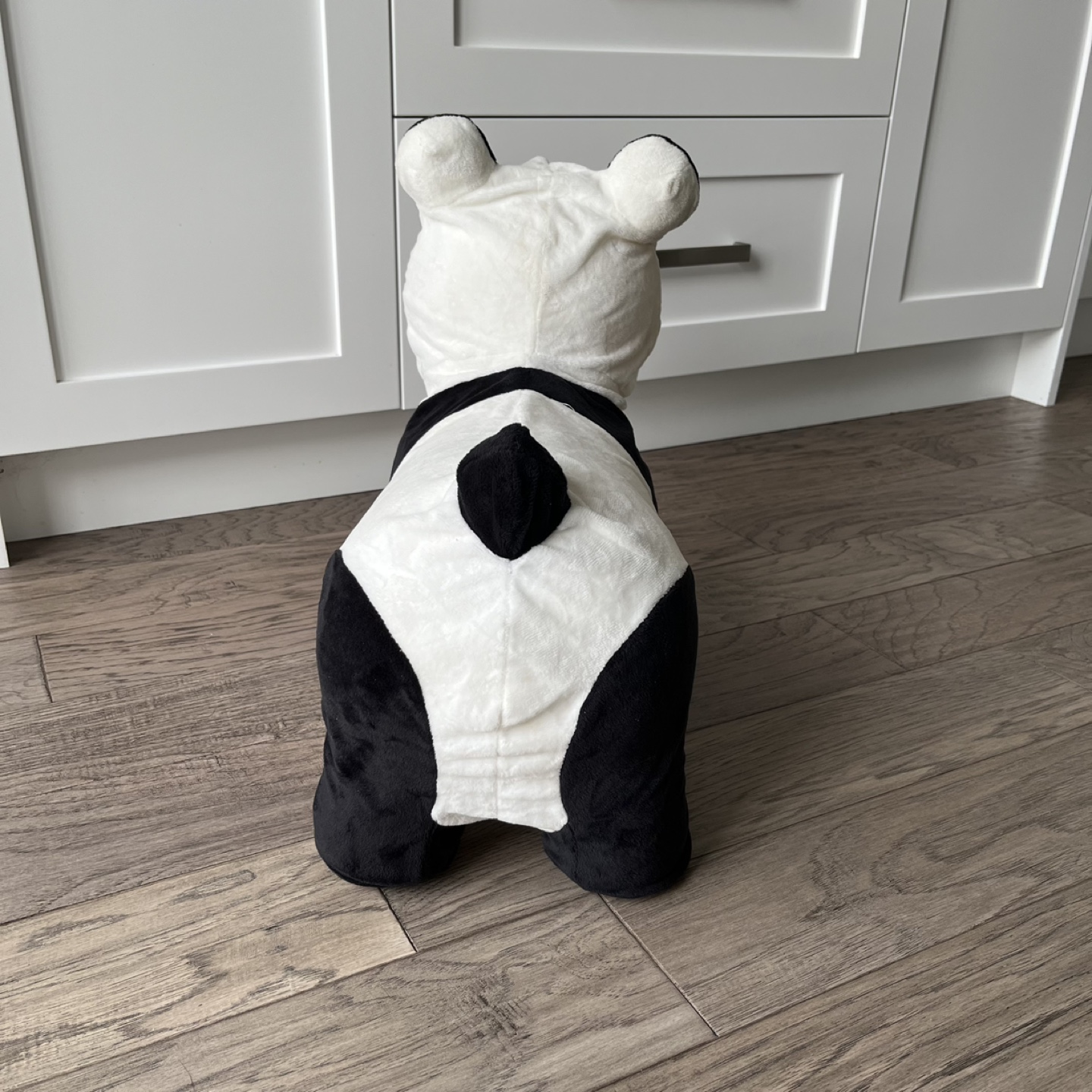Adorable Panda Ride-on Toy - photo 3