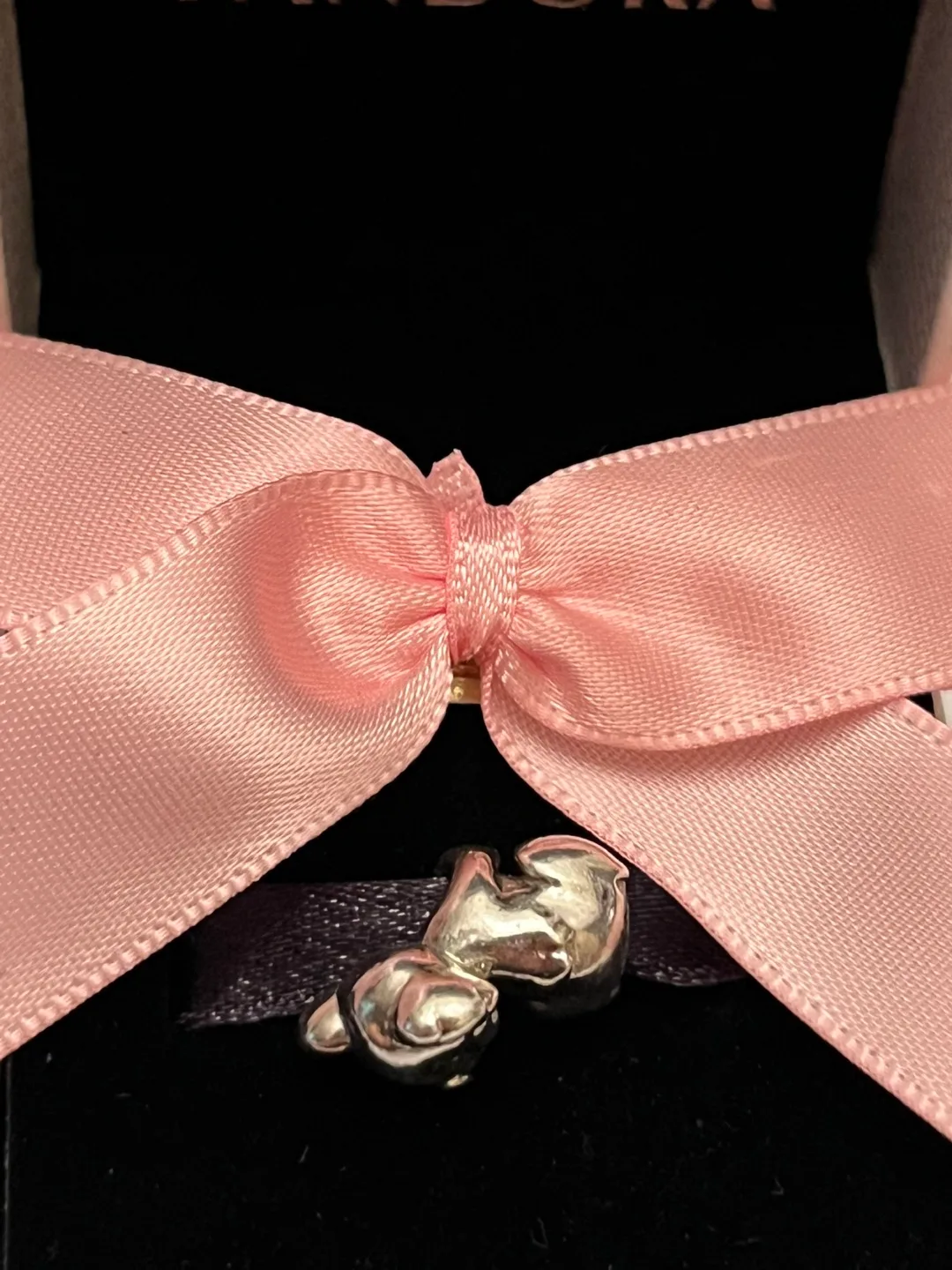 Pandora Koala Bear Charm image indicator(3)