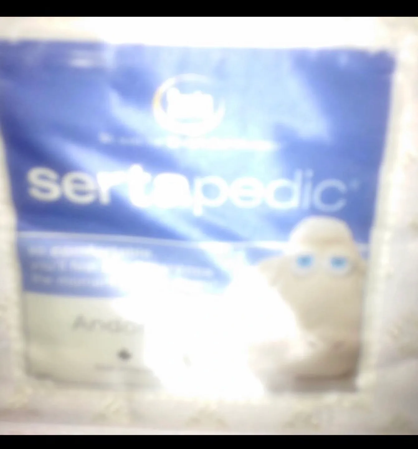 Sertapedic Queen Size Mattress image indicator(2)