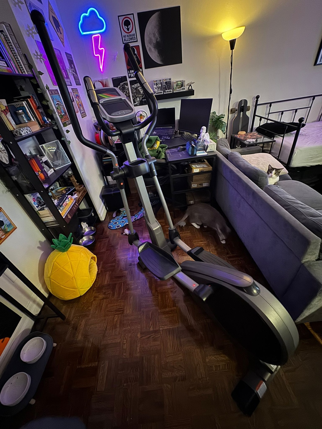 Magnetic Elliptical Machine - Sunny Health & Fitness