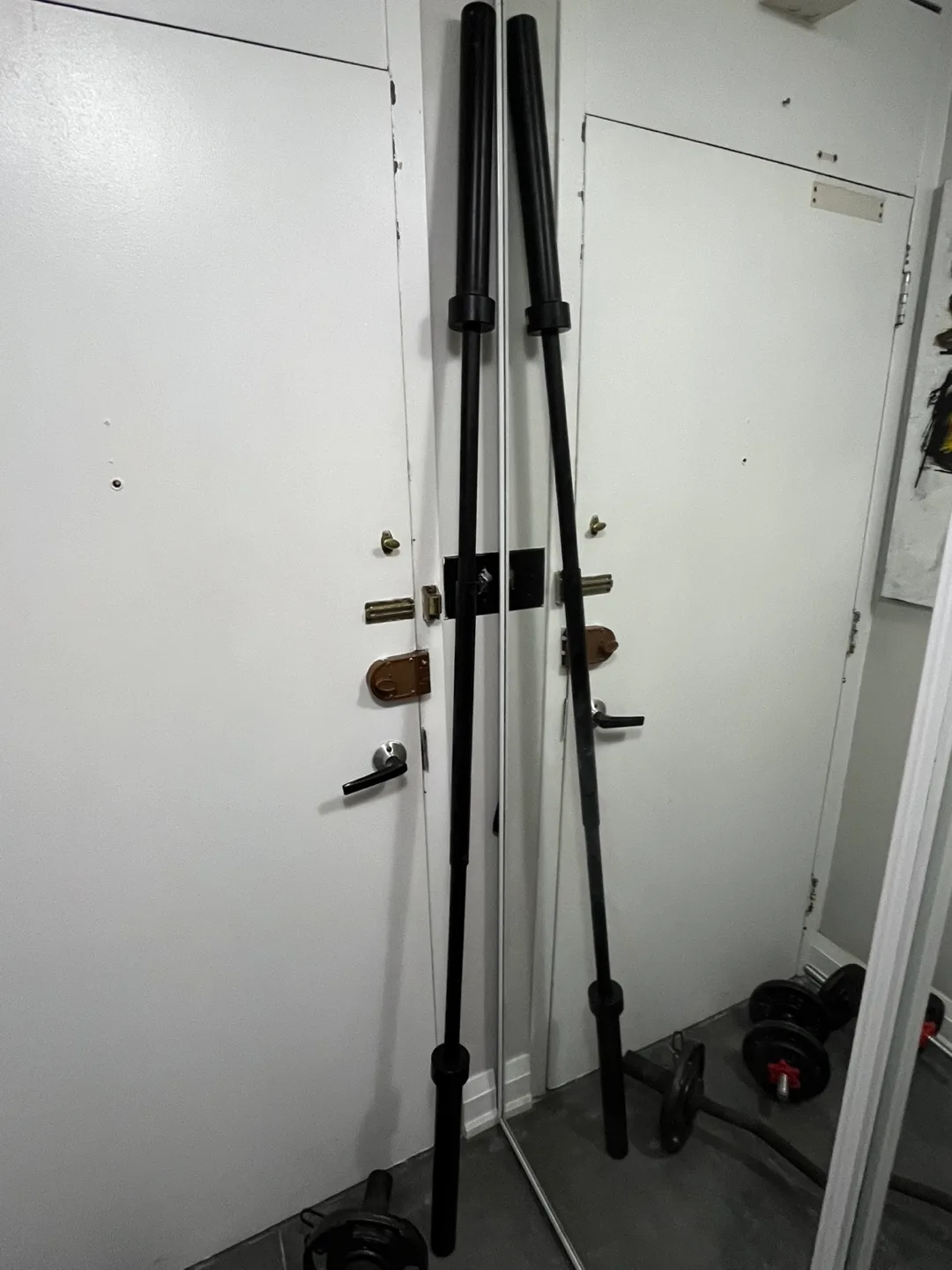 Home Gym Weight Set - Dumbbells & Barbells image indicator(5)