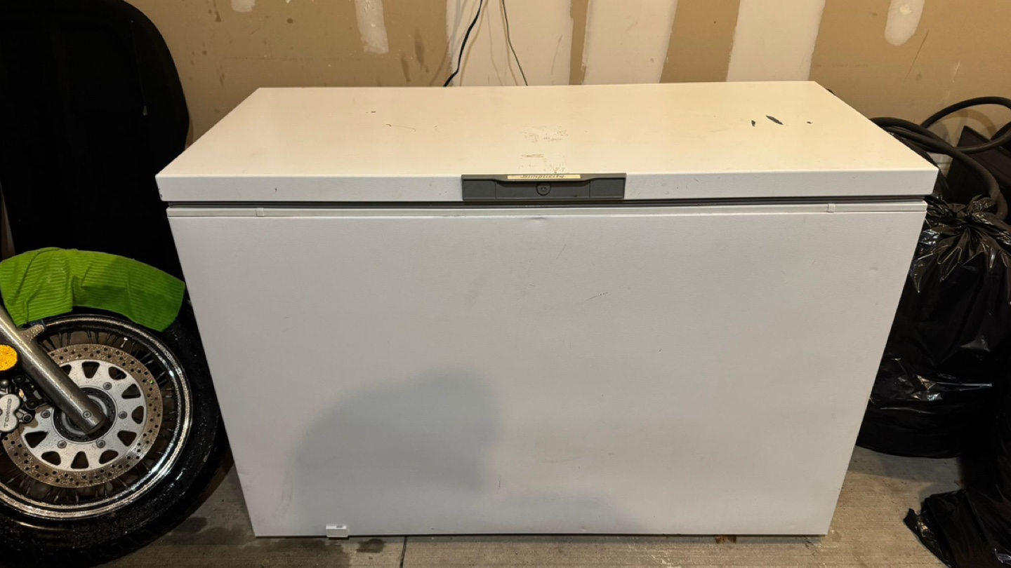 White Chest Freezer - photo 2