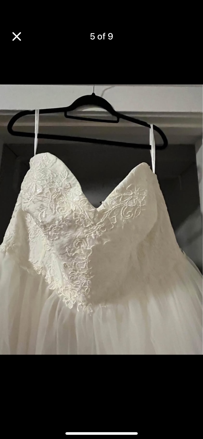 David's Bridal Plus Size Wedding Dress - photo 4