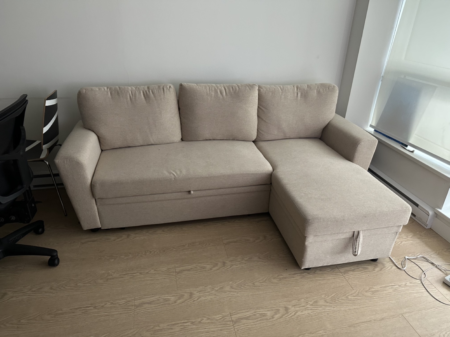 Beige Pull-Out Sectional Sofa - photo 2