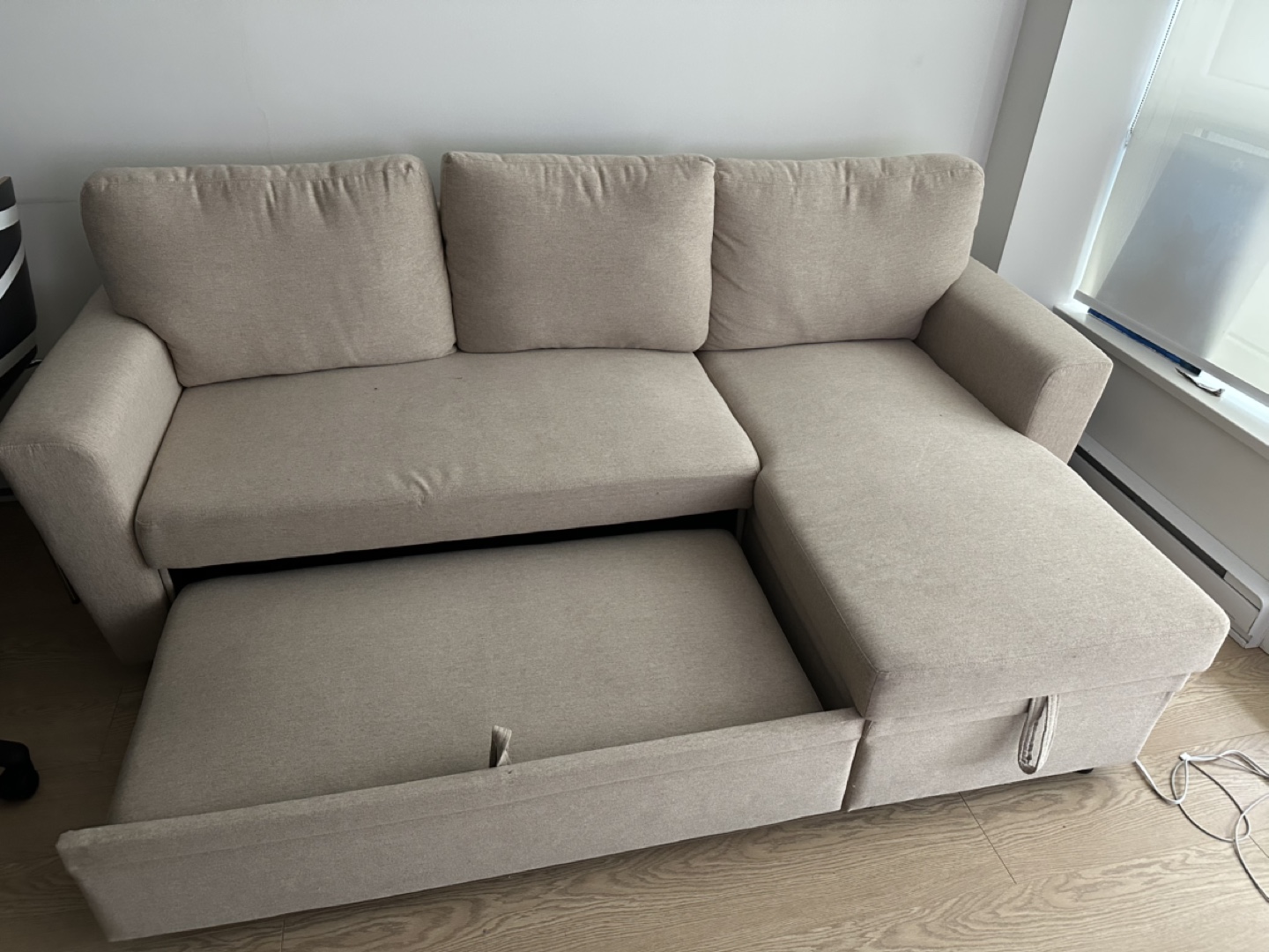 Beige Pull-Out Sectional Sofa - photo 3