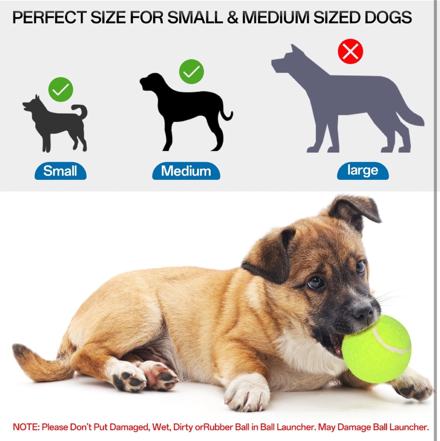 Automatic Dog Ball Launcher - Interactive Fetch Game - photo 2