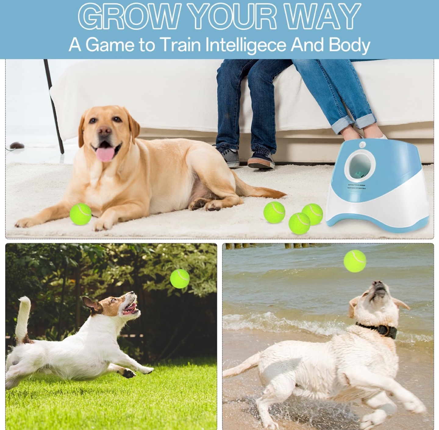 Automatic Dog Ball Launcher - Interactive Fetch Game