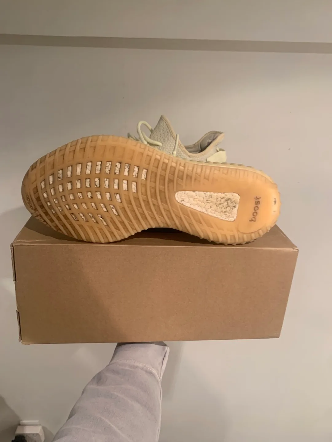 Size 12 Yeezy 350 Butter image indicator(3)