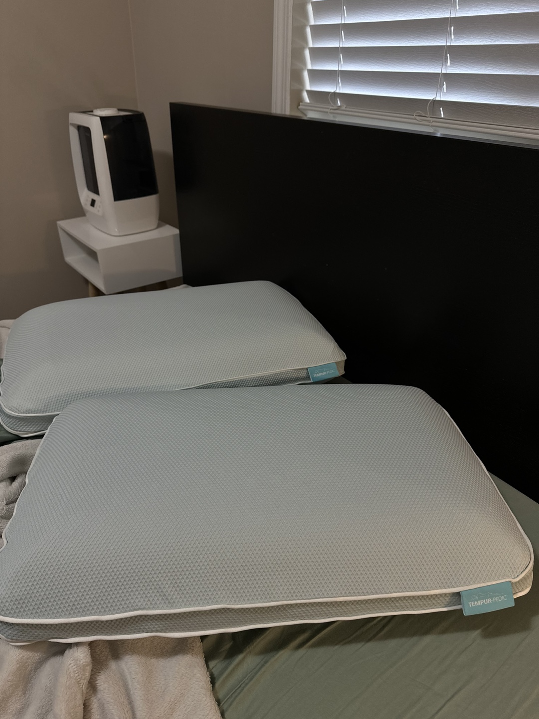 Tempur-Pedic Cloud Pillow - Pair
