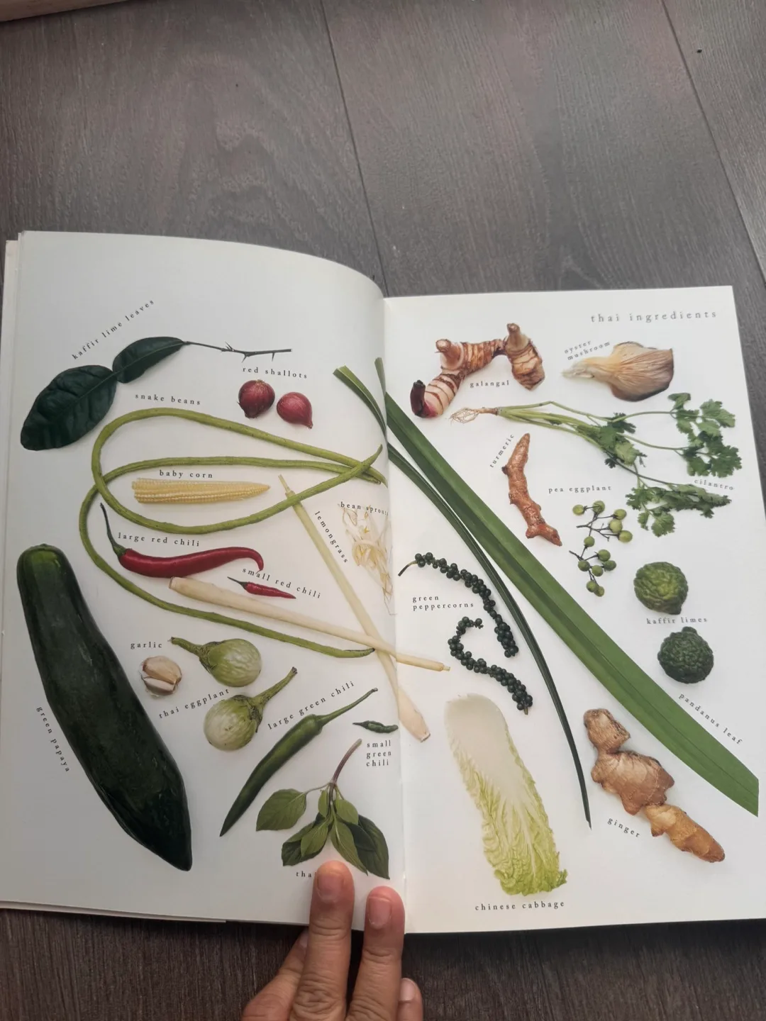 Basic Thai Cooking Cookbook by Jody Vassallo image indicator(3)