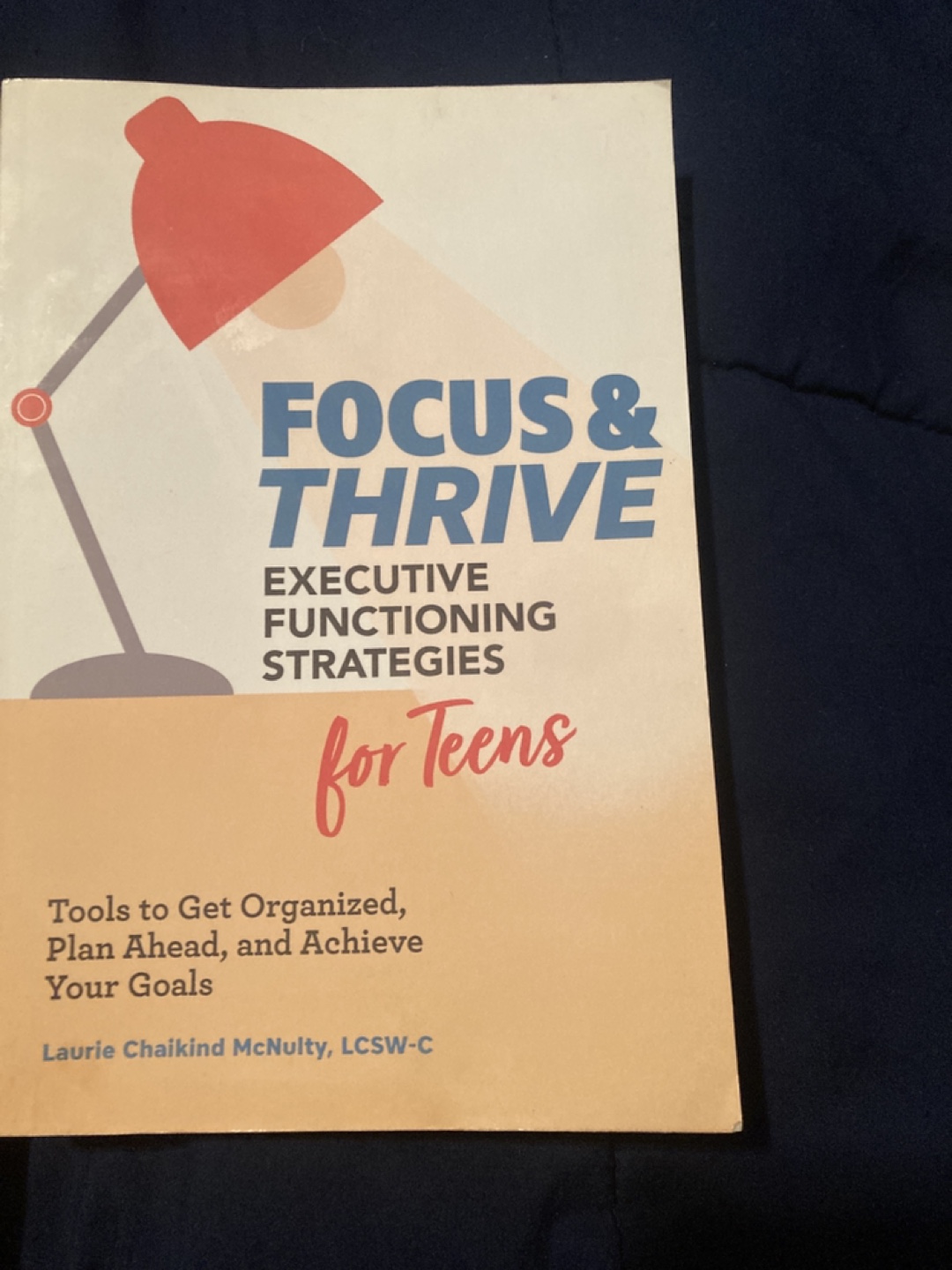 Focus & Thrive: Executive Functioning Strategies for Teens - photo 2