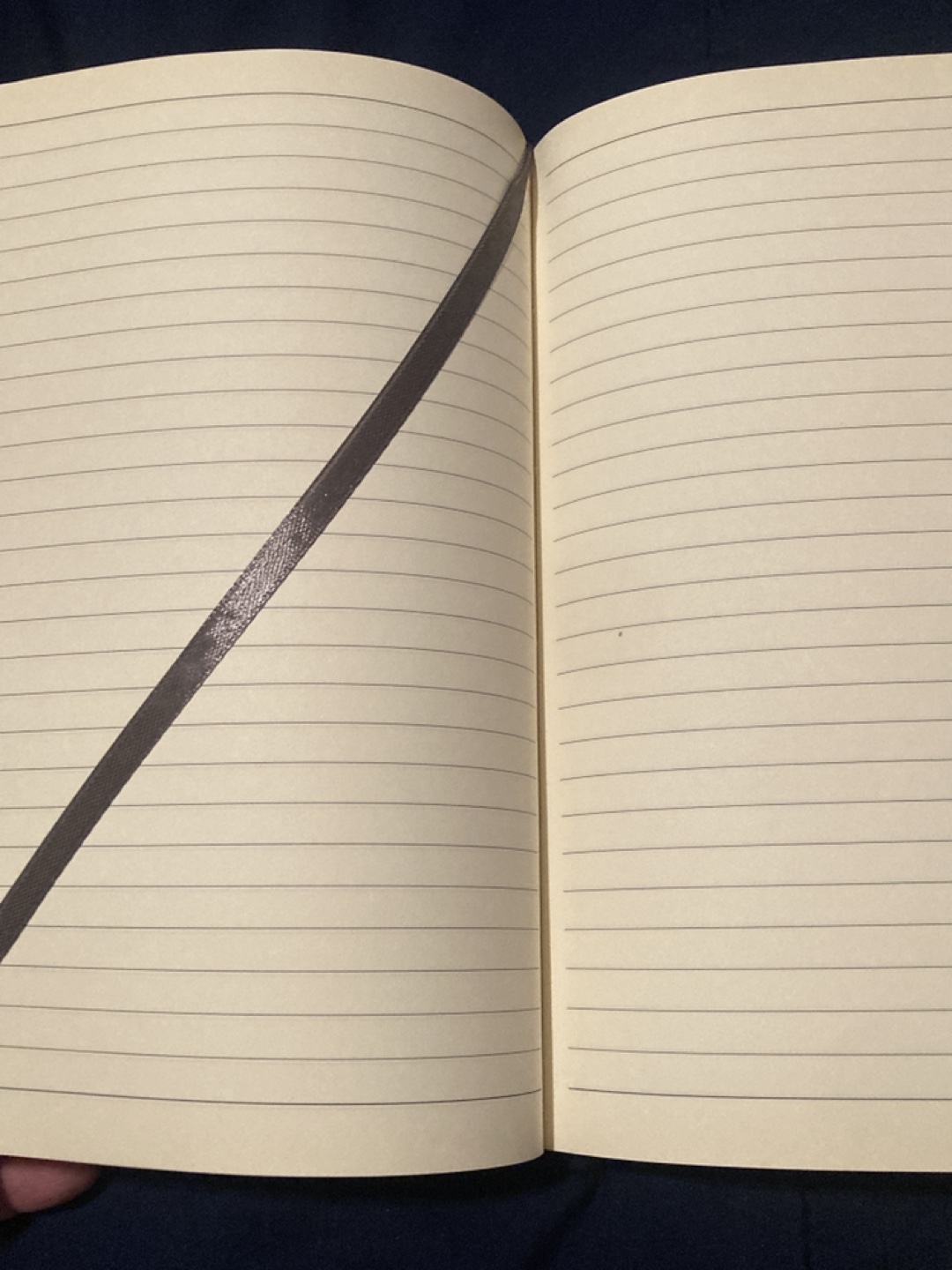 Visit Roc Rochester, NY Notebook - photo 2
