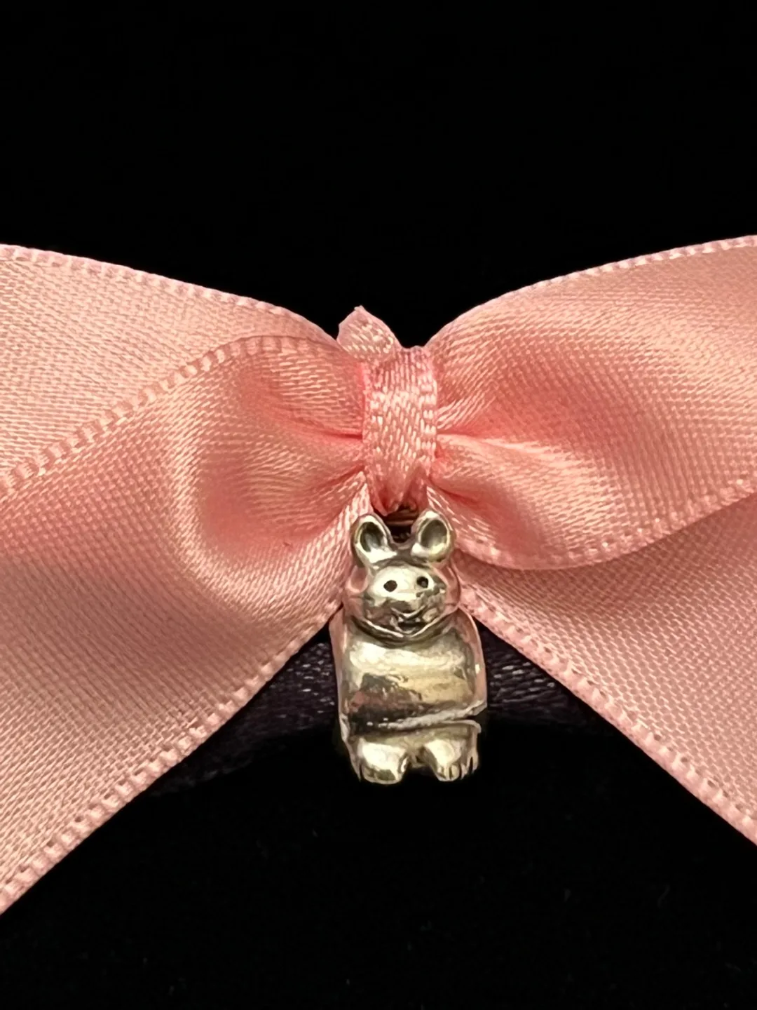 Pandora Bunny Charm image indicator(2)