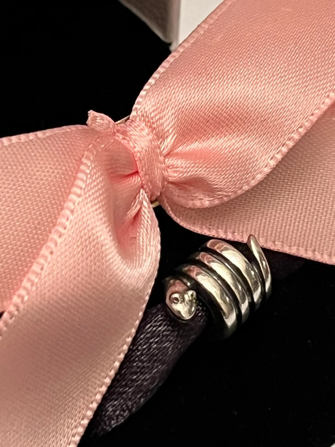 Pandora snake charm image indicator(2)