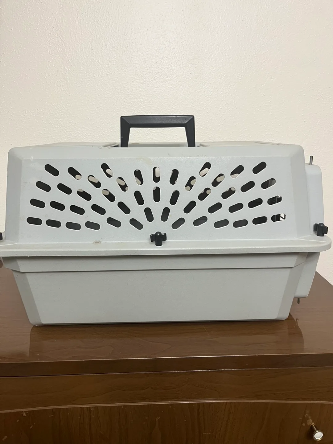 Petmate Pet Taxi Small Pet Carrier image indicator(2)