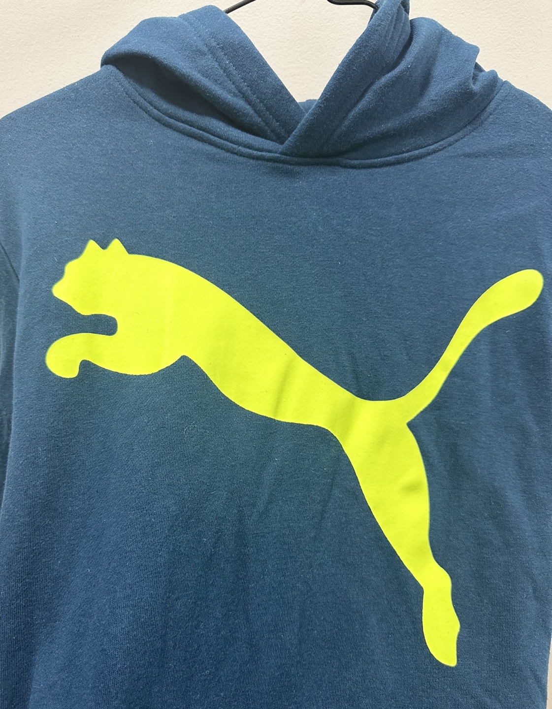 Puma Hoodie, Teal/Neon Yellow - photo 4
