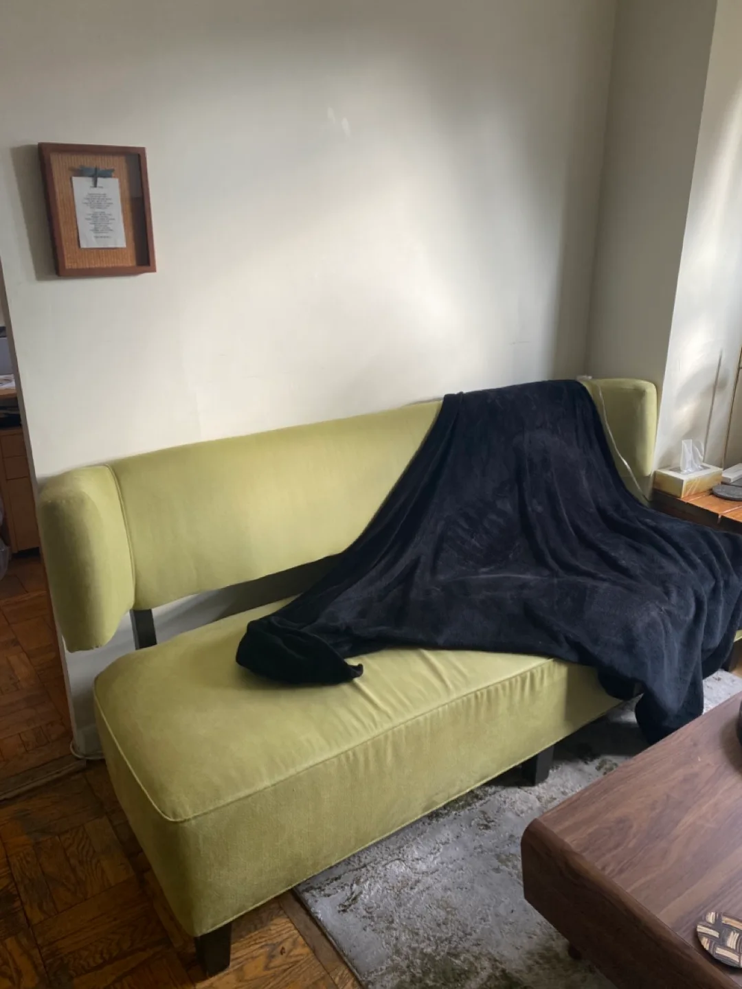 Mid-Century Modem Light Green Sofa thumbnail
