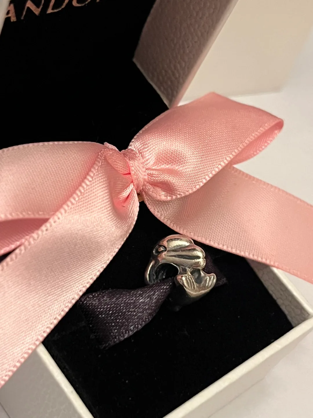 Pandora Dolphin Charm image indicator(3)