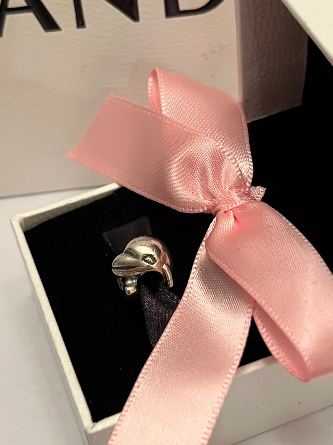 Pandora Dolphin Charm image indicator(6)