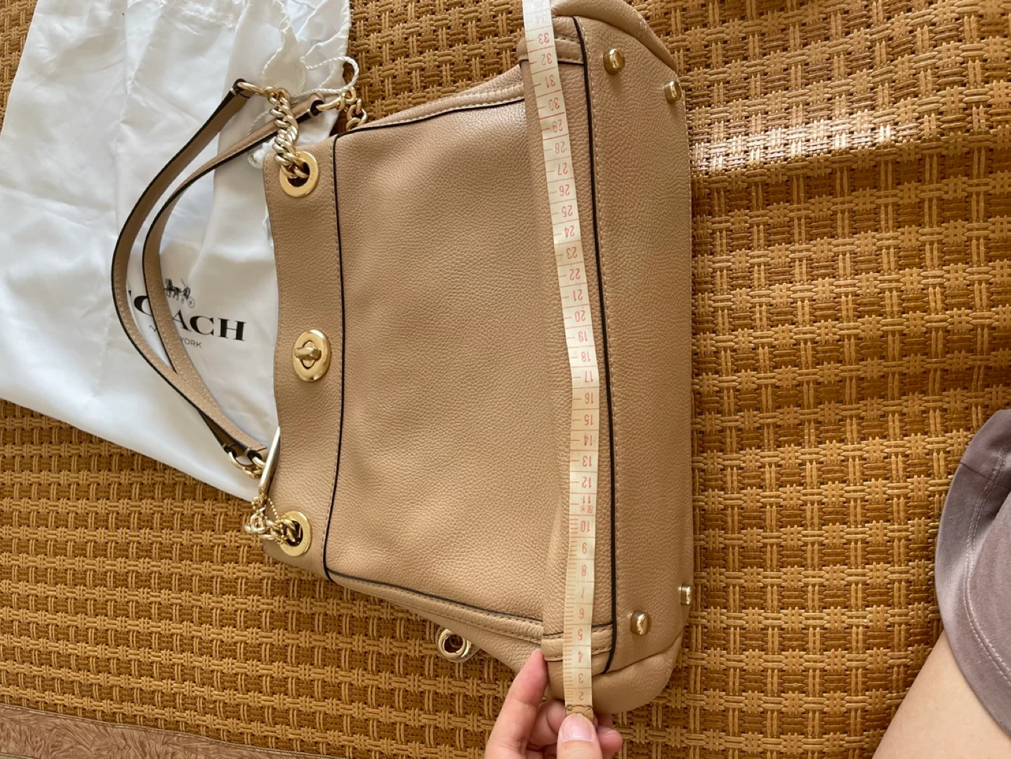 Coach Leather Hobo Bag - Beige image indicator(2)