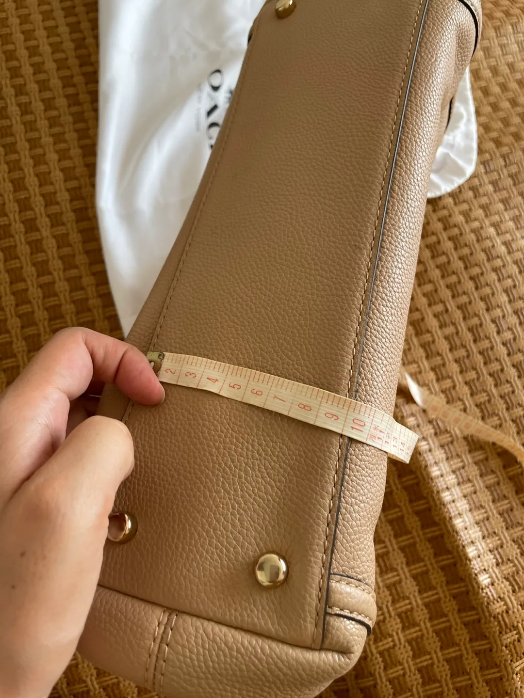 Coach Leather Hobo Bag - Beige image indicator(3)
