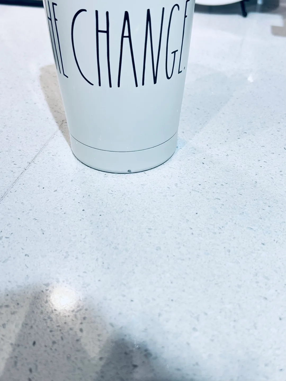 🍓BRAND NEW! RAE DUNN 17 oz Tumbler w/ straw Stainless Steel image indicator(4)