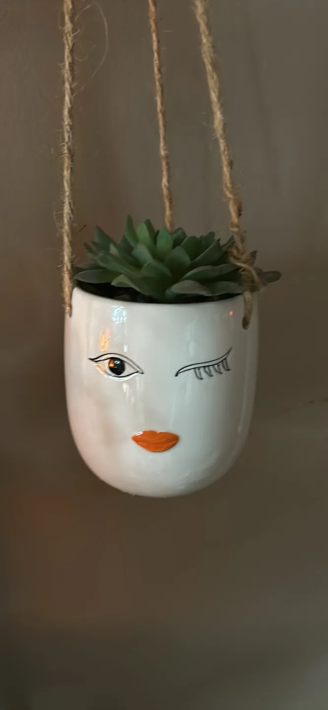Adorable Hanging Planter Pots - Set of Two thumbnail