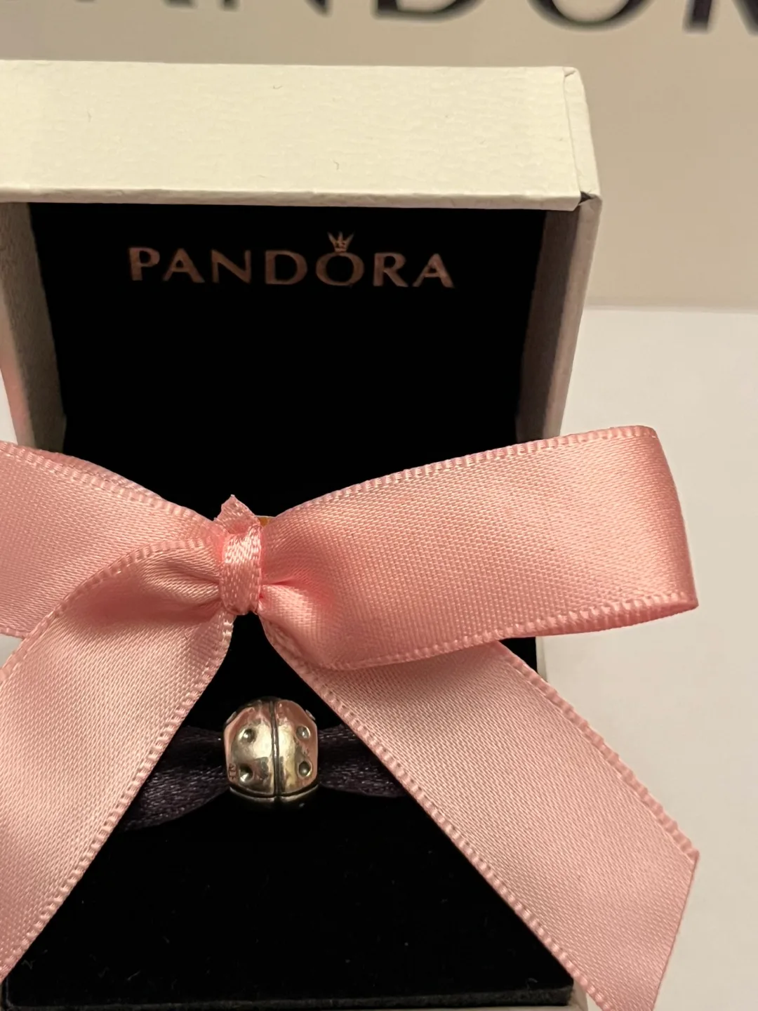 Pandora Ladybug Charm image indicator(3)