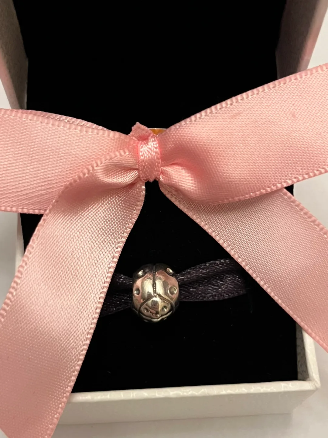 Pandora Ladybug Charm image indicator(2)