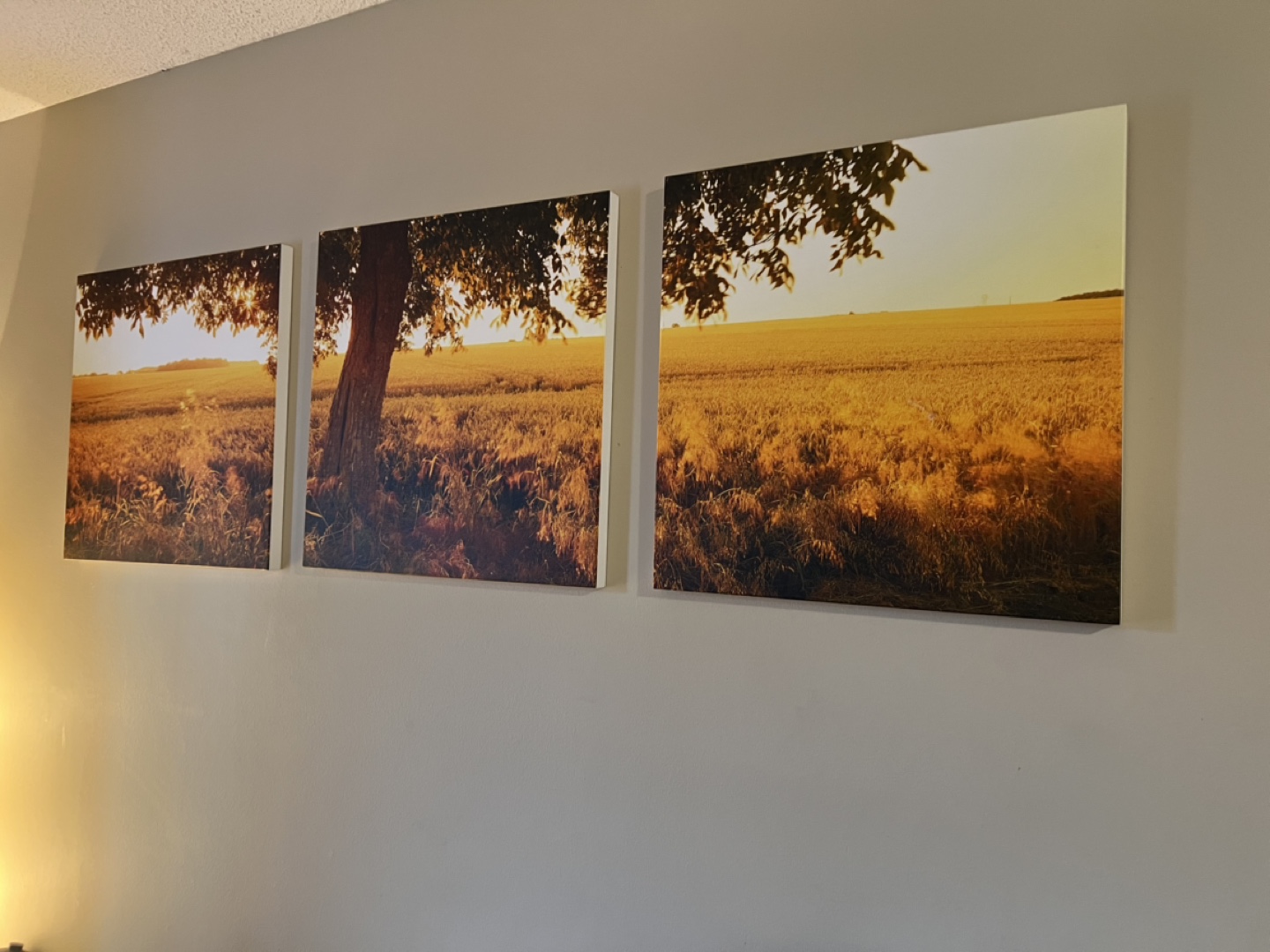 Triptych Canvas Wall Art - Golden Field Landscape - photo 2