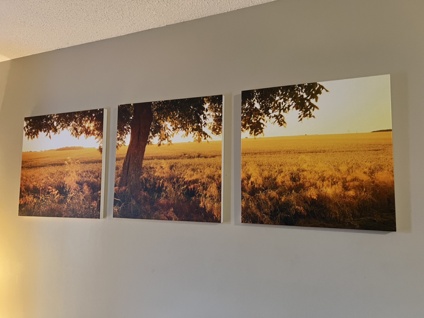 Triptych Canvas Wall Art - Golden Field Landscape