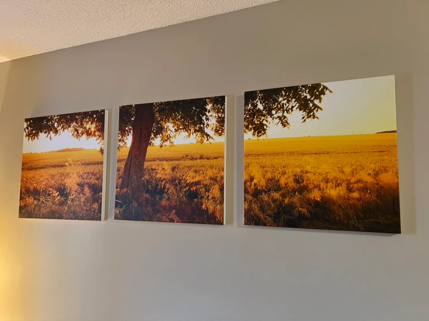 Triptych Canvas Wall Art - Golden Field Landscape thumbnail