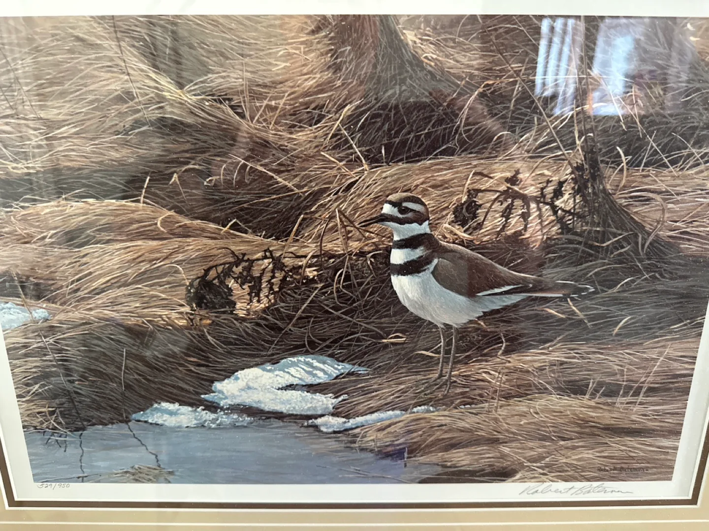 Framed Robert Bateman Print - spring thaw Killdeer image indicator(4)