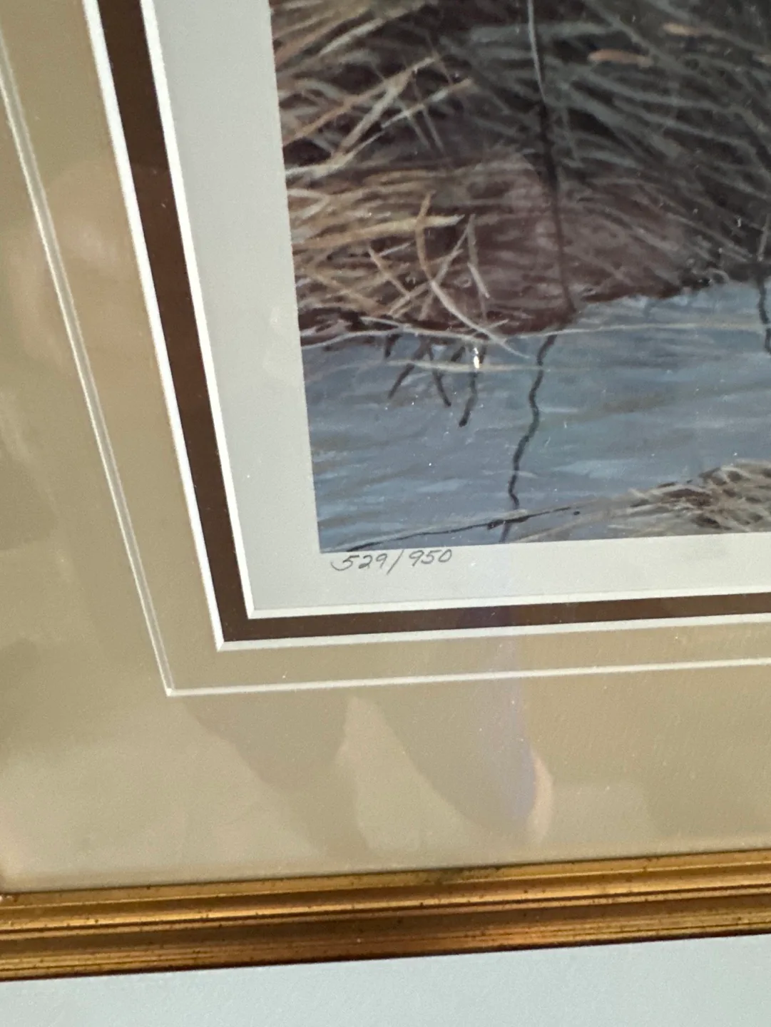 Framed Robert Bateman Print - spring thaw Killdeer image indicator(3)
