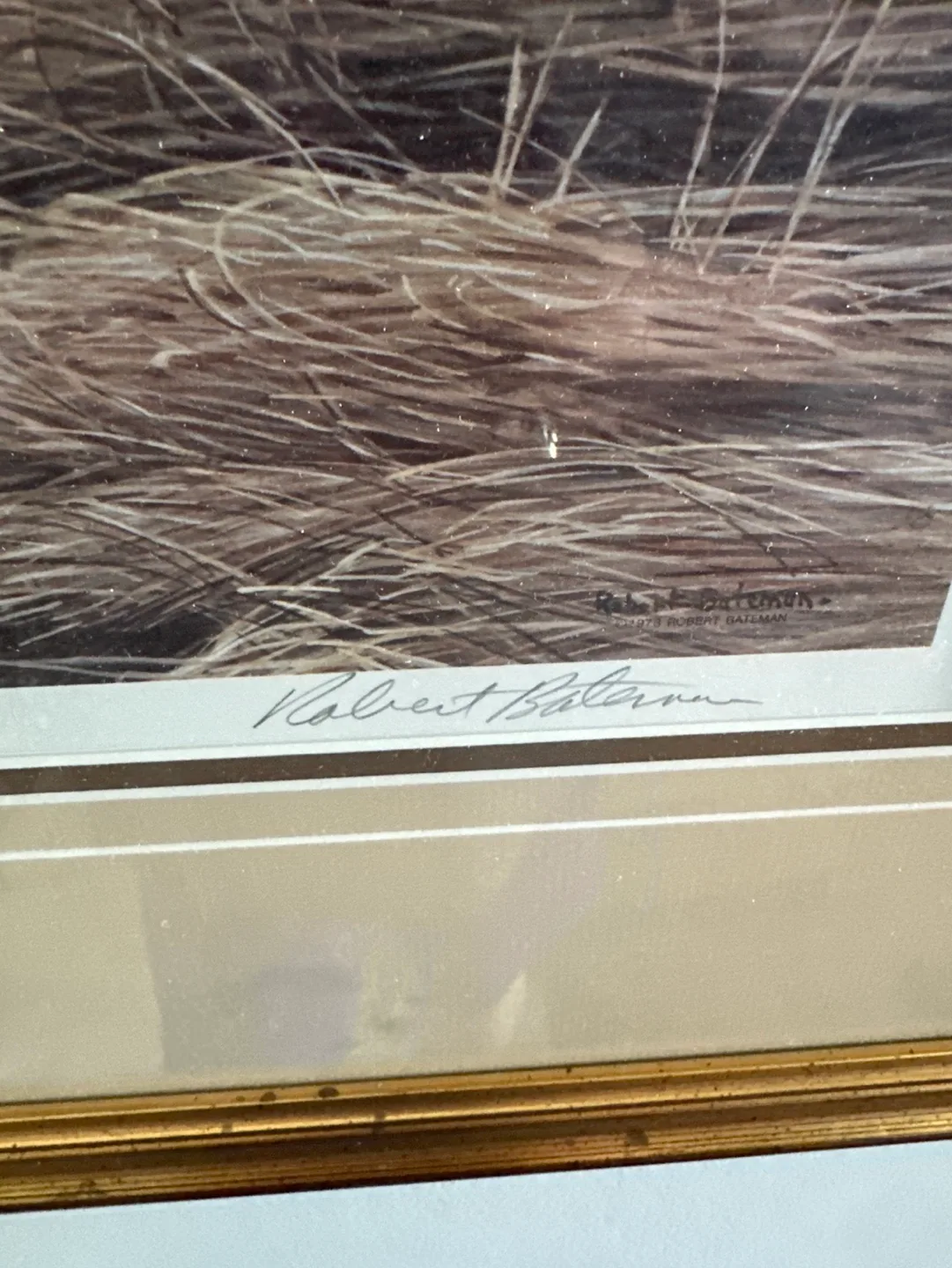 Framed Robert Bateman Print - spring thaw Killdeer image indicator(2)