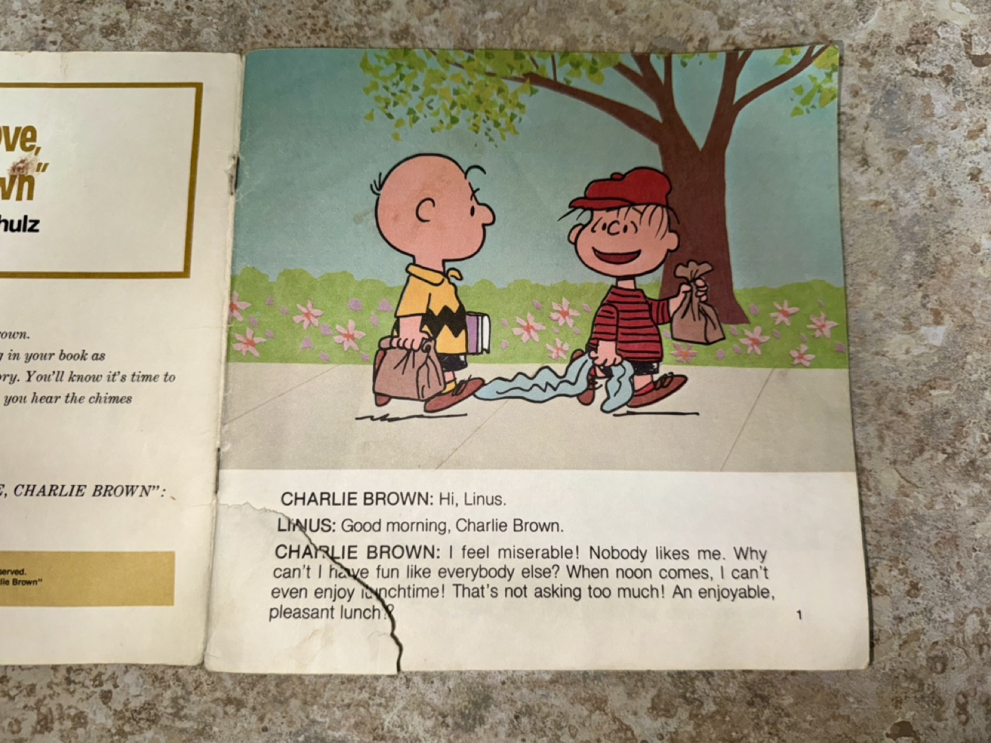 Vintage Record & Book: You're in Love, Charlie Brown - photo 3