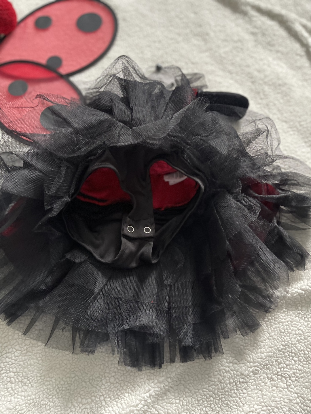 Ladybug Costume size 2T - photo 3