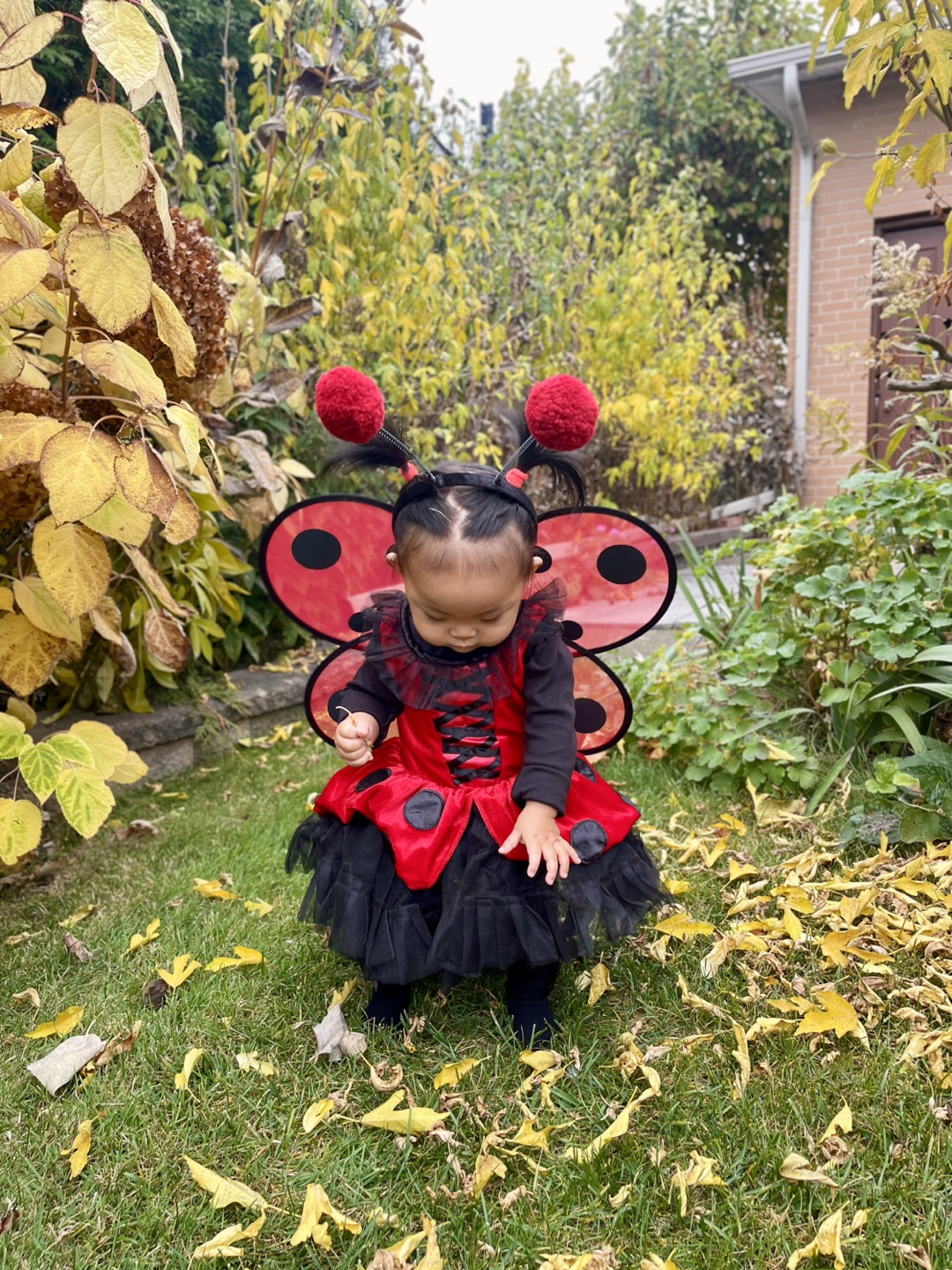 Ladybug Costume size 2T - photo 5