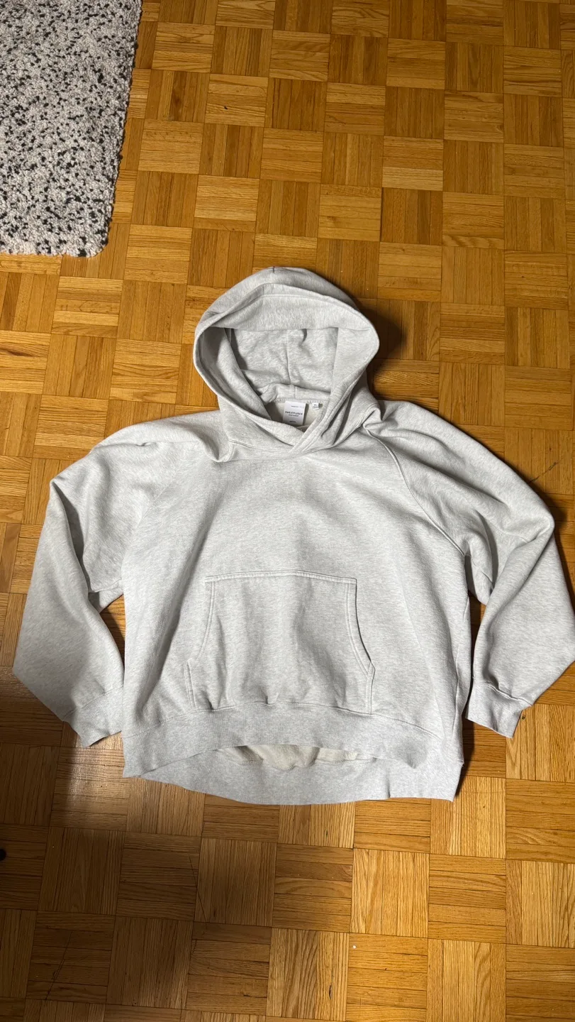 Aritzia SweatFleece Hoodie image indicator(2)
