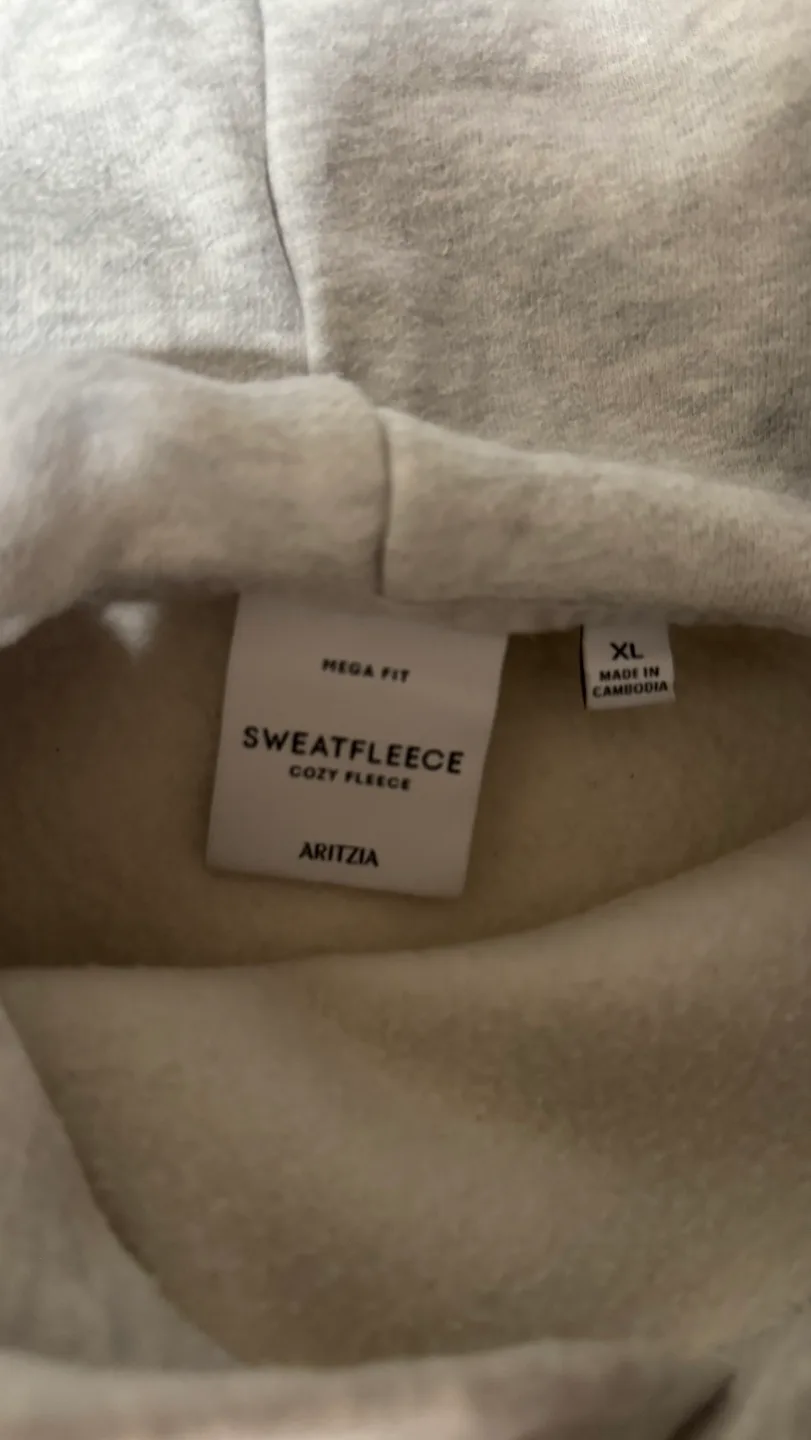 Aritzia SweatFleece Hoodie image indicator(3)