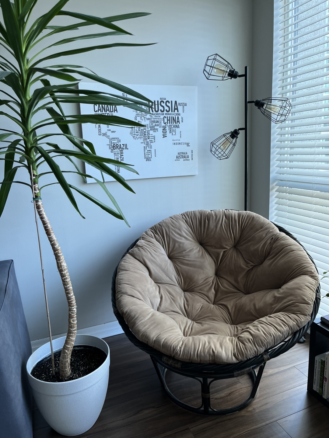 Papasan Chair with Cushion