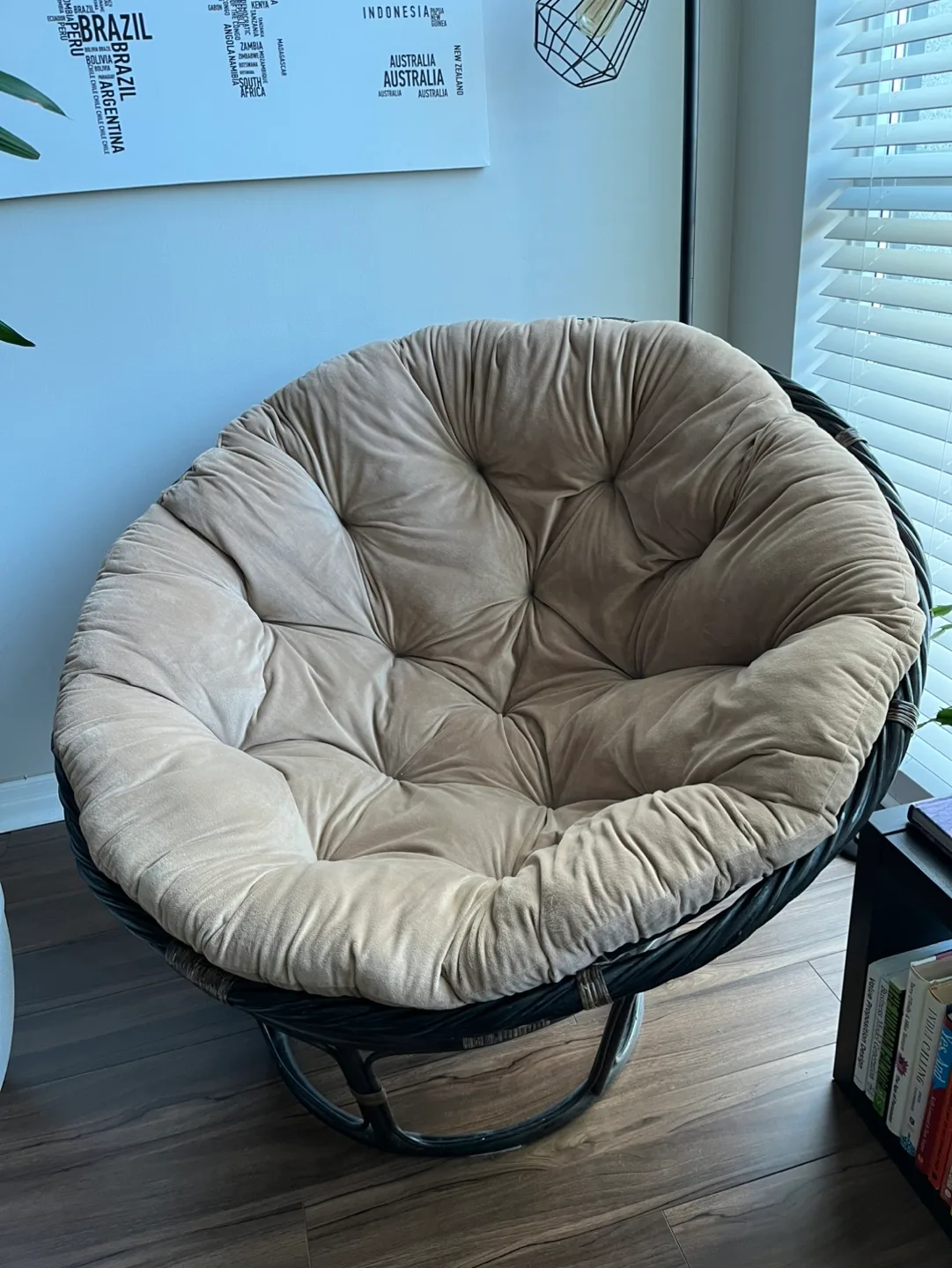 Papasan Chair with Cushion image indicator(2)