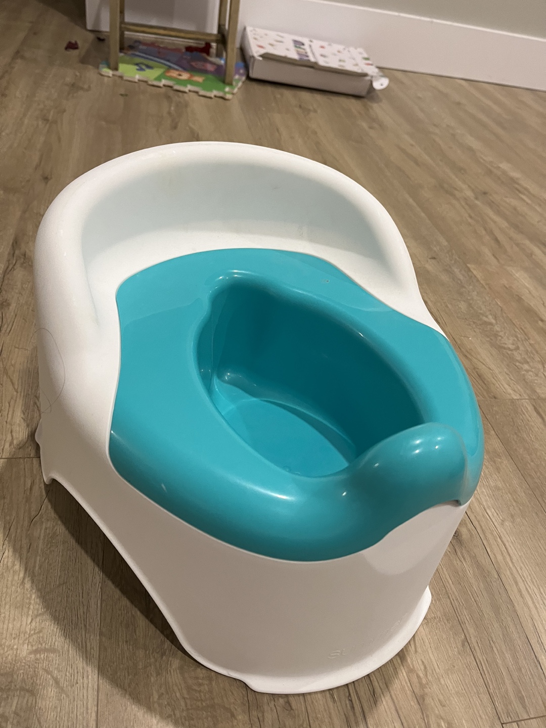 Potty Training Toilet