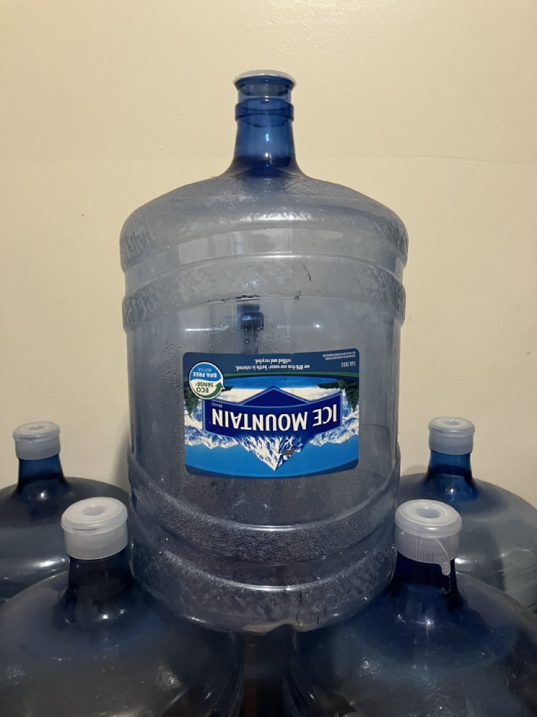 Free Bulk Ice Mountain Water 5-Gallon Jugs - photo 2