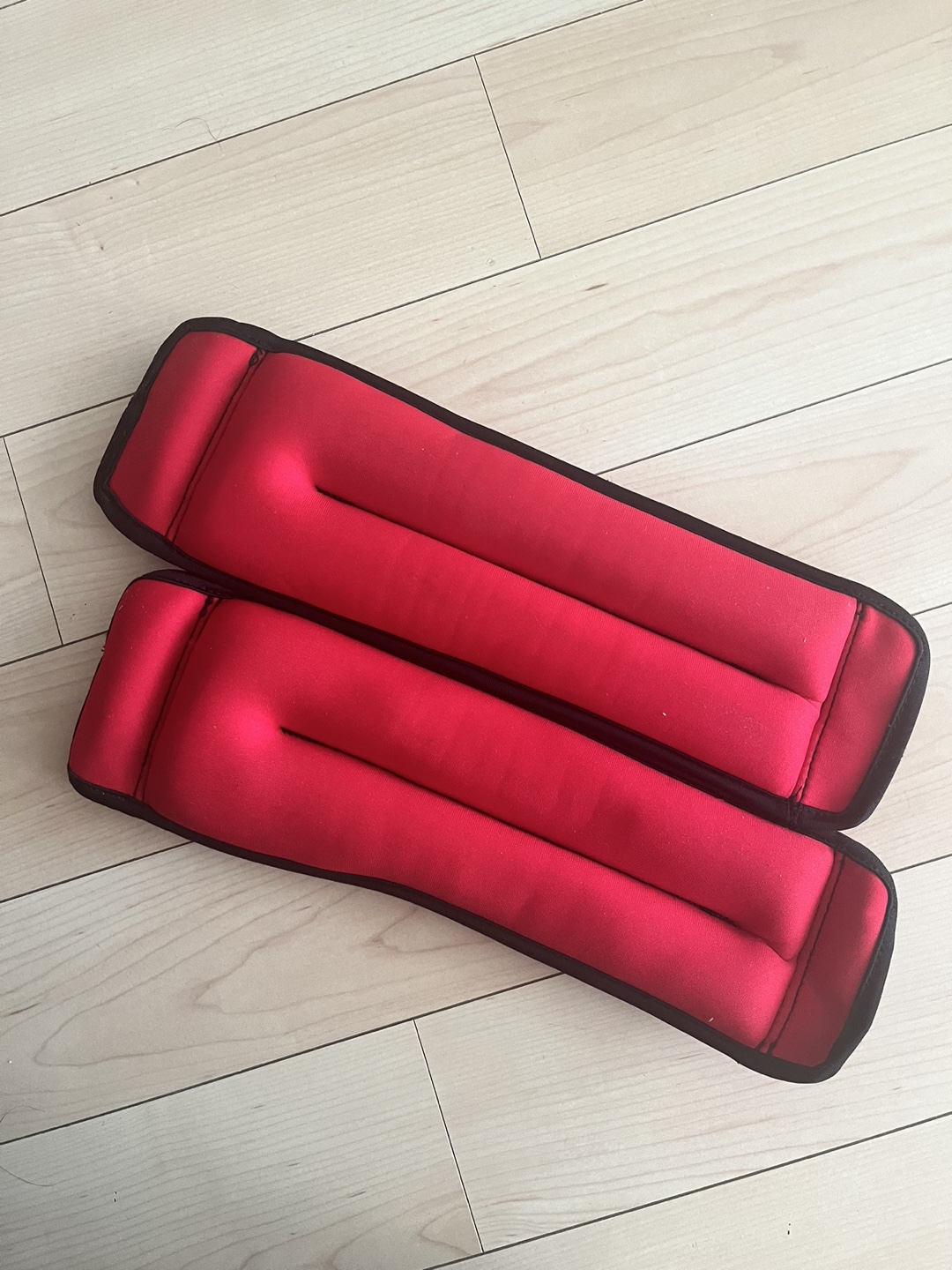 Pair of Red Ankle/Wrist Weights