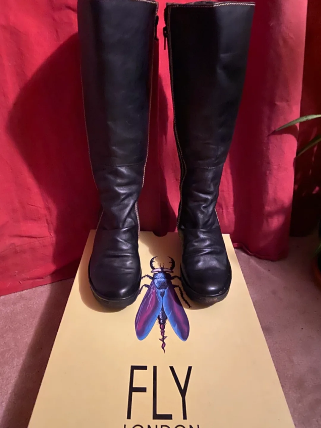 Fly London Black Leather Knee-High Wedge Boots image indicator(5)