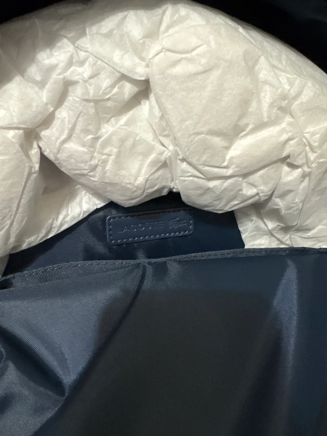 New Lacoste Backpack - Black image indicator(3)