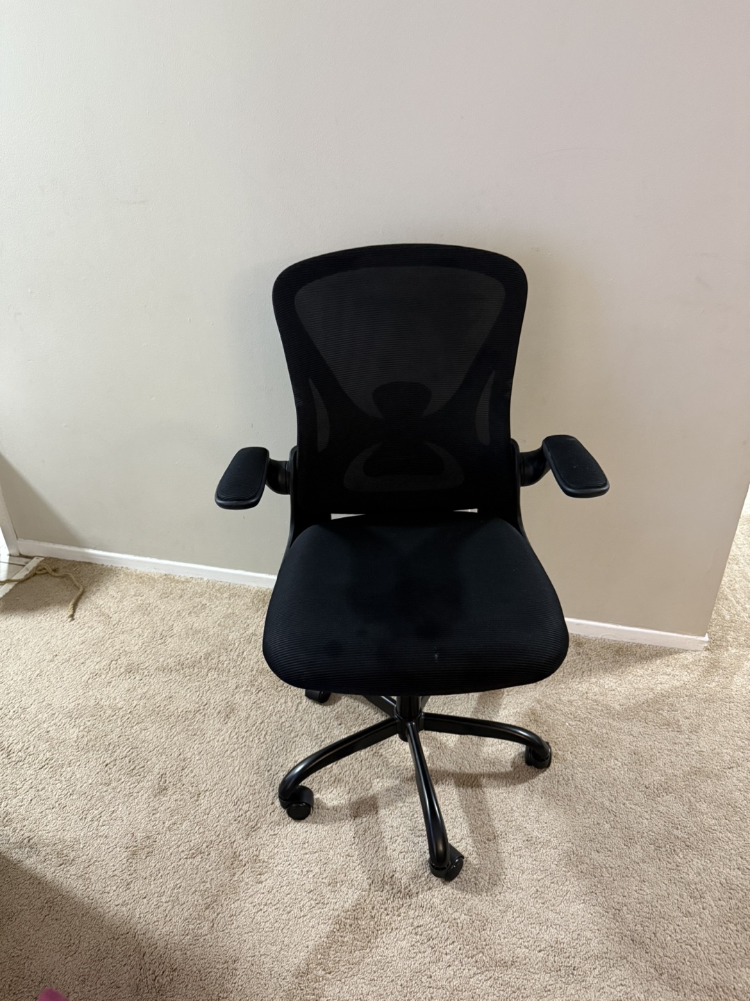 Office Chair with Armrests - photo 5