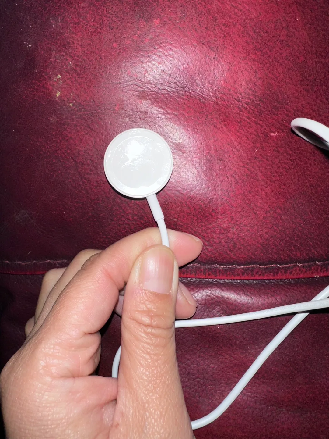 Apple Watch Magnetic Charging Cable image indicator(5)